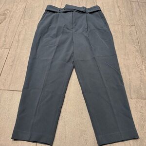 ANN TAYLOR Slate Gray Belted Pleated Straight Leg Dress Work Pants Size 14